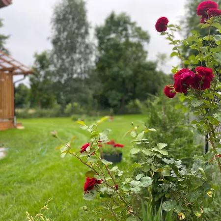 Dom Caloroczny Nad Jeziorem Brajnickim *