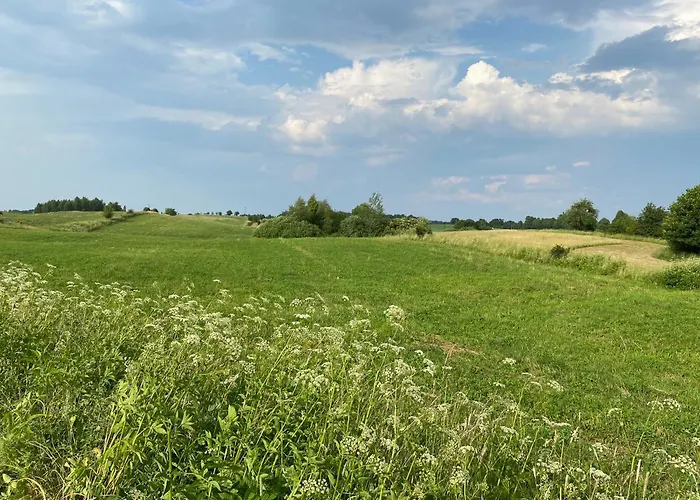 Dom wakacyjny Dom Całoroczny Nad Jeziorem Brajnickim